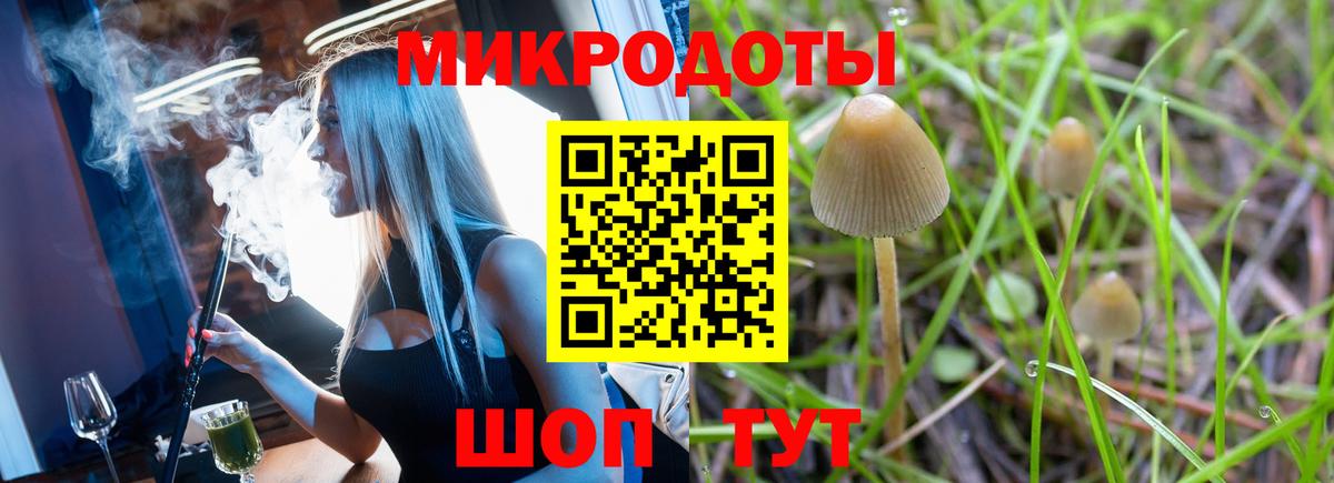 Галлюциногенные грибы мицелий Чайковский