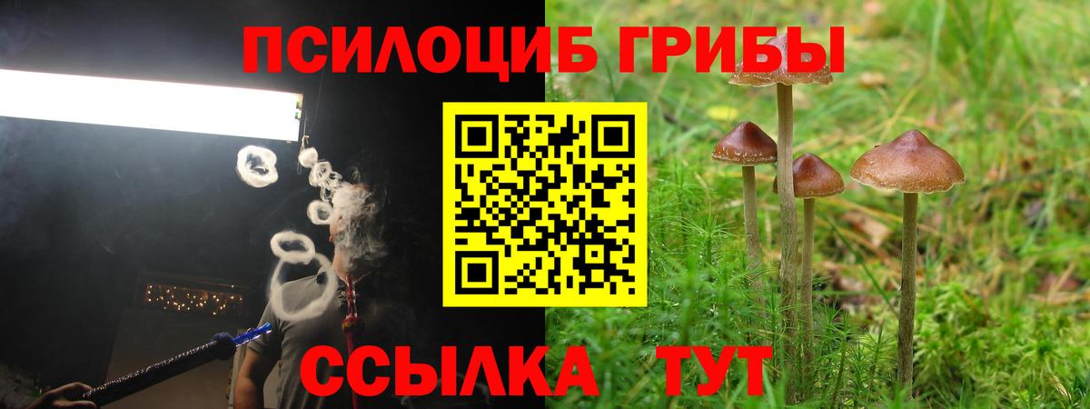 Галлюциногенные грибы ЛСД  где продают наркотики  Чайковский  Вход с VPN 